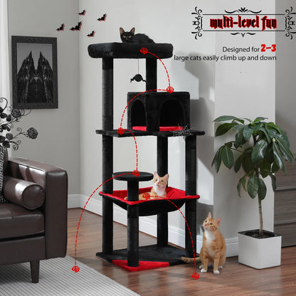 Indoor Cat Tree